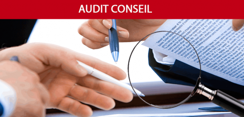 audit-conseil-1305x509